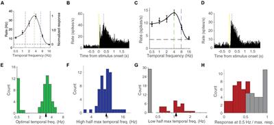 Contrast-Dependence of Temporal Frequency Tuning in Mouse V1